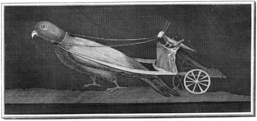 Grasshopper driving a parrot-cart, from Herculaneum (Wikimedia)  
