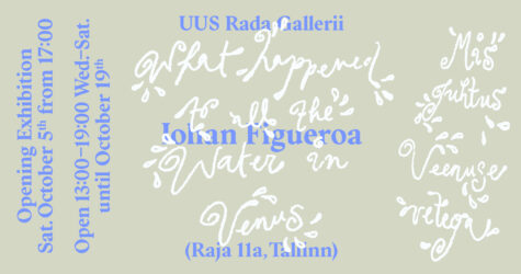 Iohan Figueroa Uus Rada Galeriis