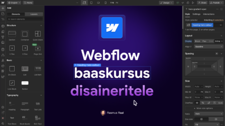 Webflow-baaskursus-disaineritele