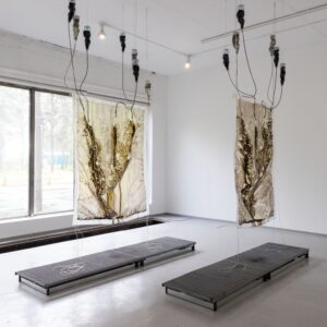 Mara Kirchberg. Bleeding Dry 1 and 2